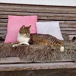 Schartlhof Farm stay *