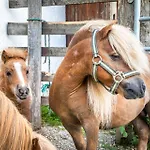 Farm stay Schartlhof