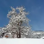 Schartlhof *