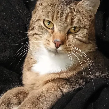 Schartlhof Farm stay *