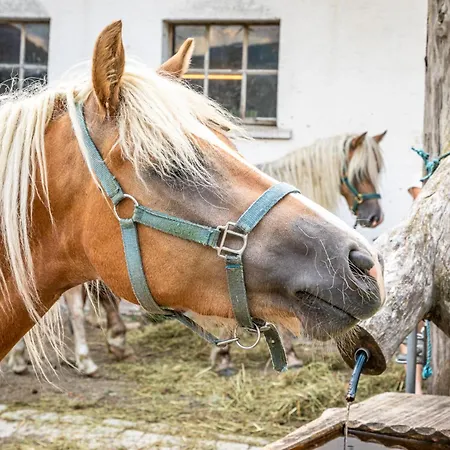 Schartlhof Farm stay