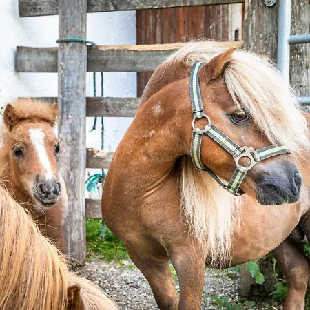 Farm stay Schartlhof