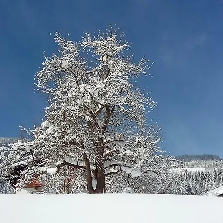 Schartlhof *