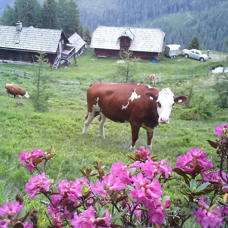 Schartlhof Farm stay *