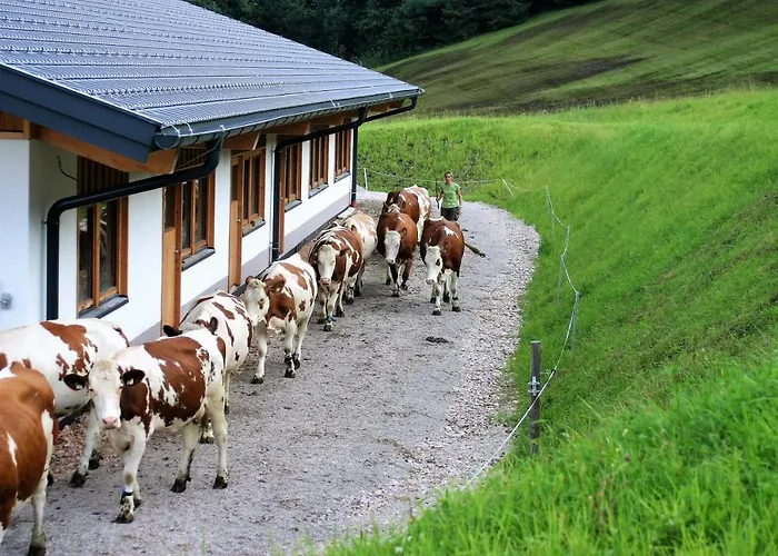 Séjour à la ferme Schartlhof Flachau