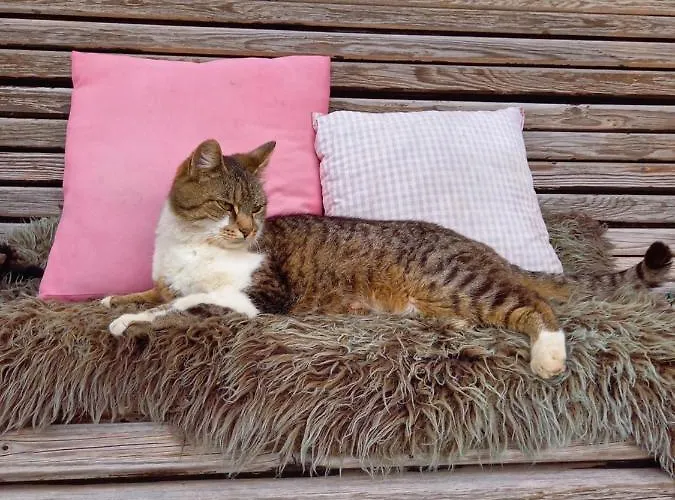 Schartlhof 农家乐 *