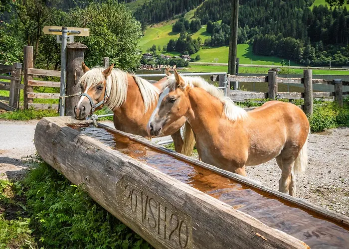 Schartlhof Séjour à la ferme Flachau