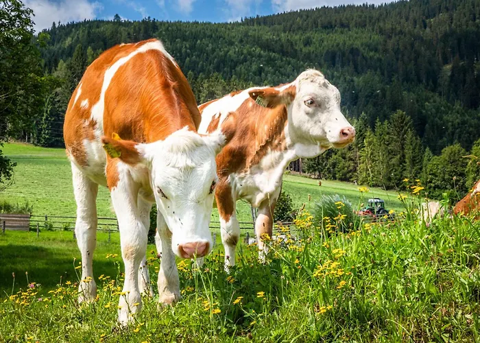 Schartlhof Séjour à la ferme *