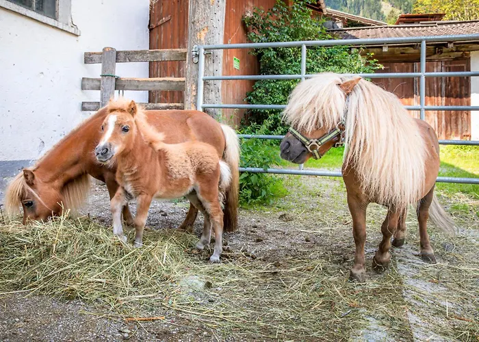 Schartlhof Séjour à la ferme Flachau