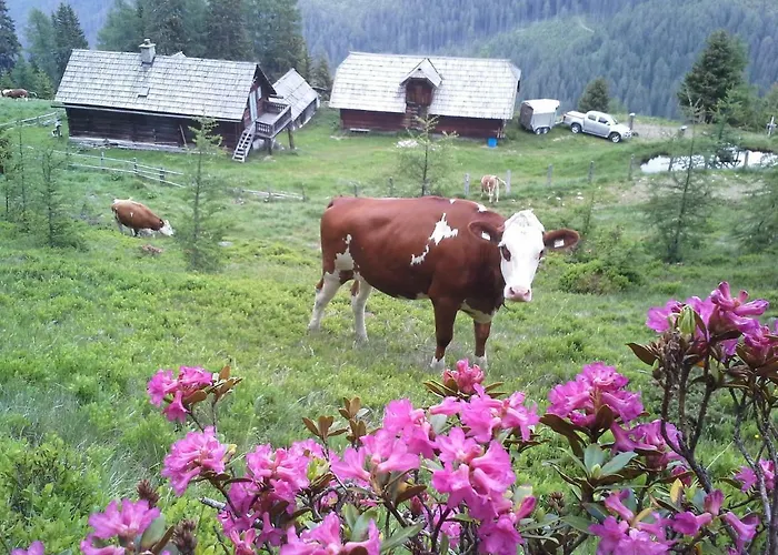 Schartlhof 农家乐 *